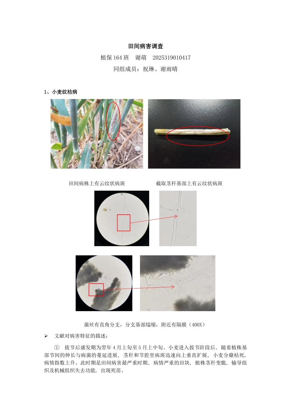 田间病害观察及诊断---植保_第1页