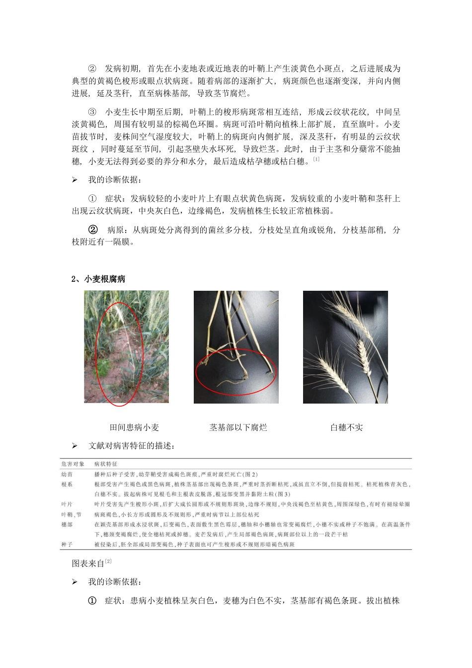 田间病害观察及诊断---植保_第2页