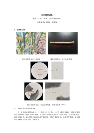 田间病害观察及诊断---植保
