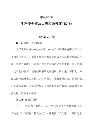 电力公司生产安全事故灾害应急预案