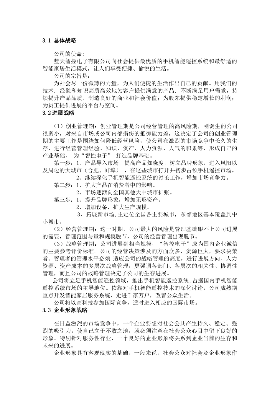 电子公司完整创业计划书-_第3页