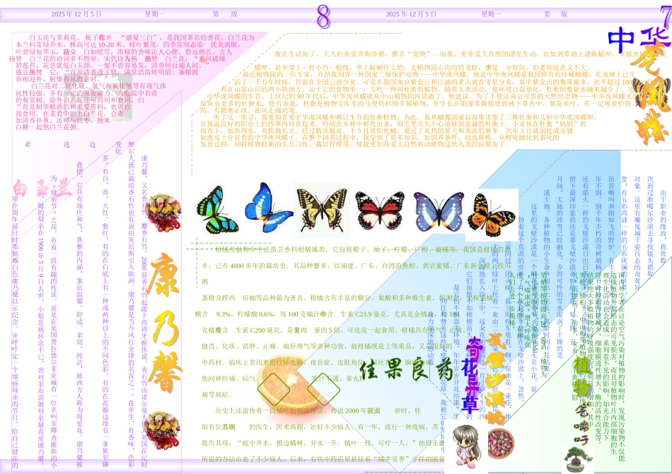 电子手抄报模板1_第3页