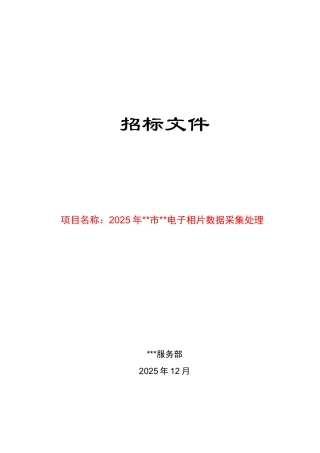 电子相片数据采集处理招标文件