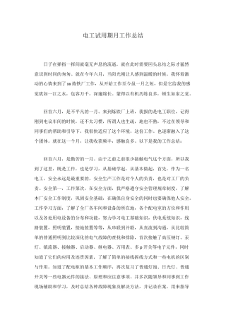 电工试用期月工作总结