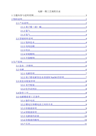 电解工段一期工艺规程
