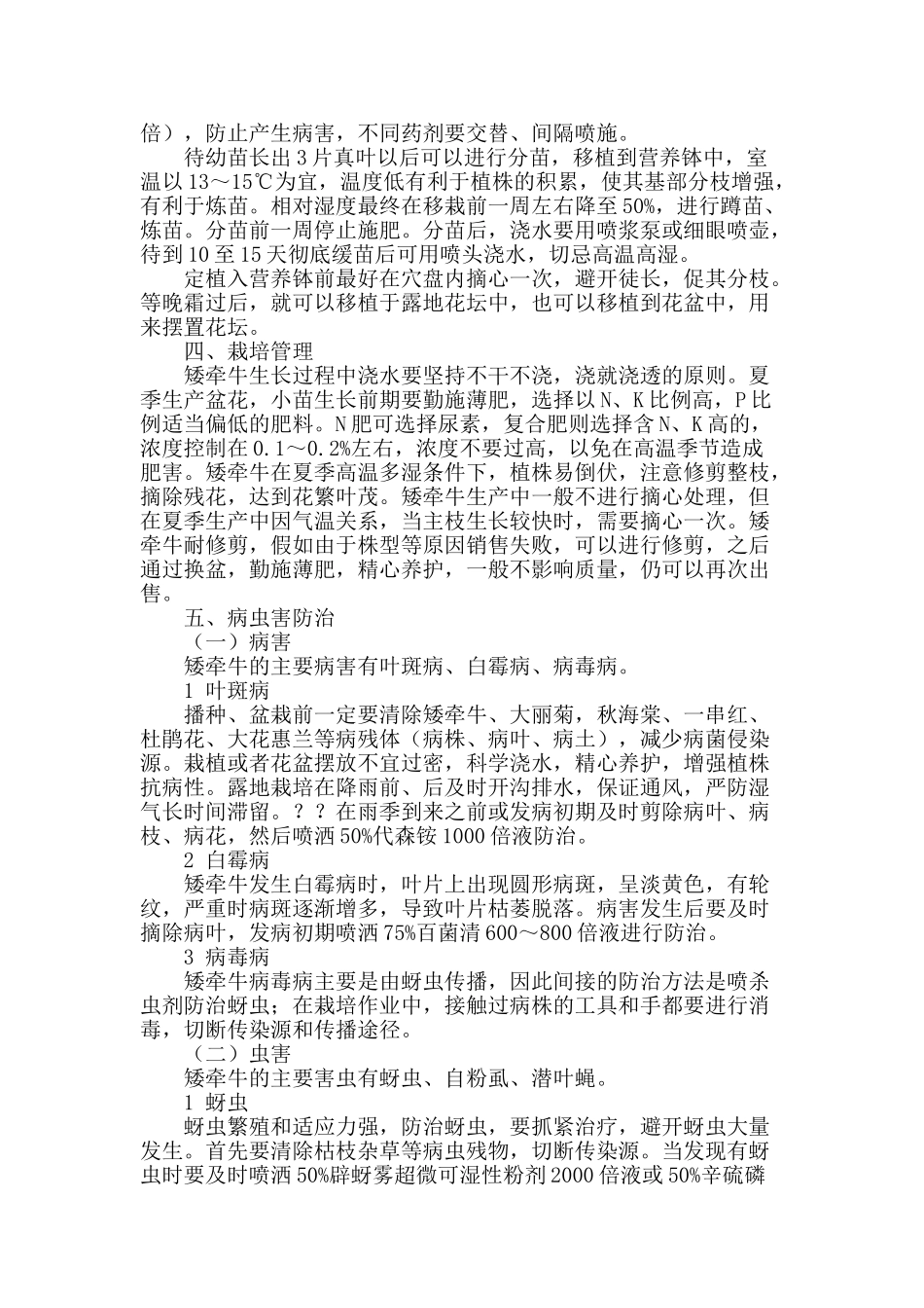 矮牵牛栽培技术_第2页