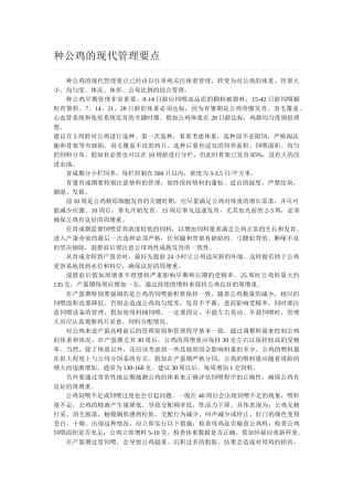 种公鸡的现代管理要点