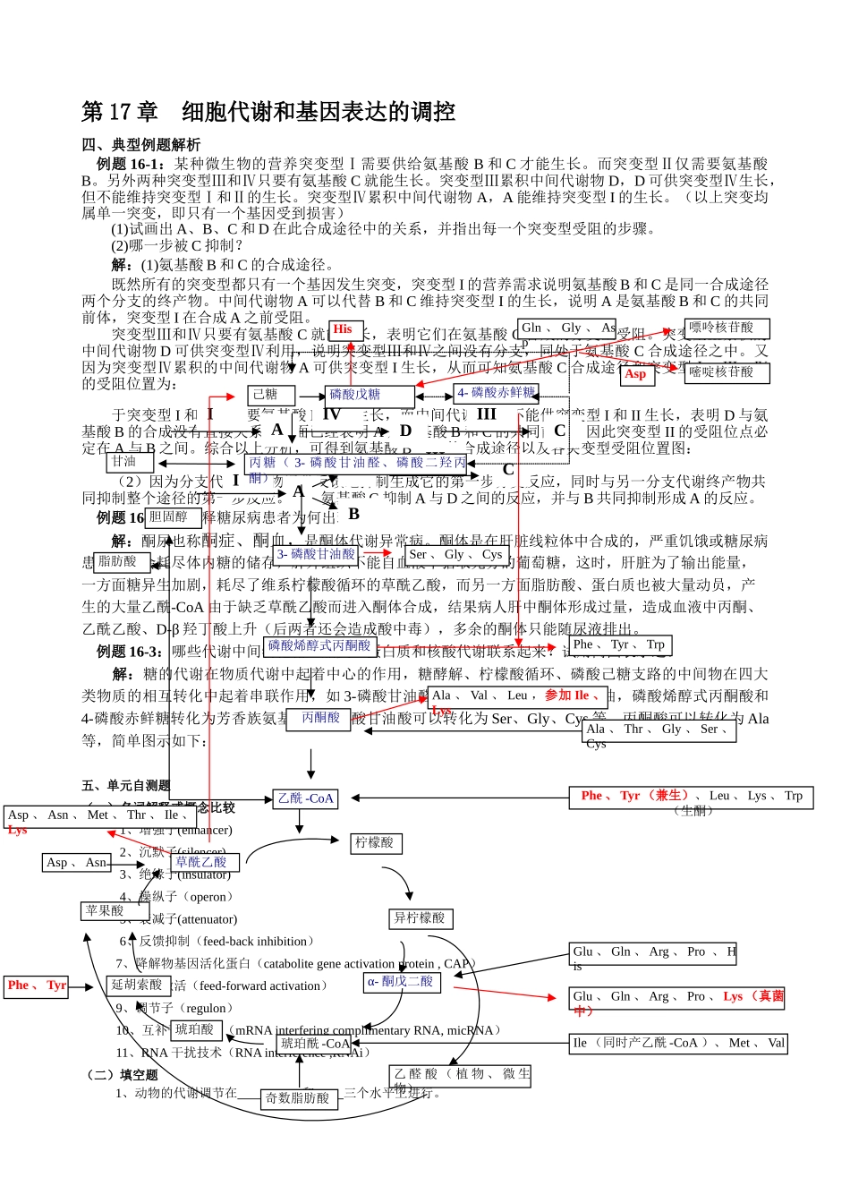 第17章--细胞代谢和基因表达的调控_第1页