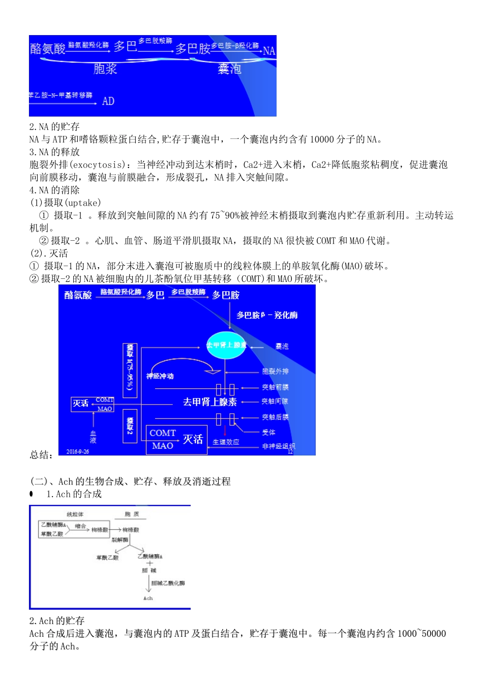 第2章-外周神经用药_第2页