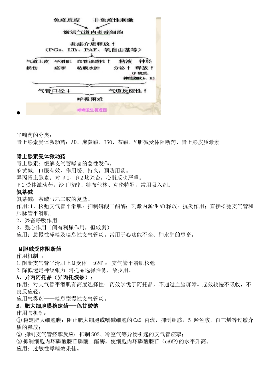 第6章-呼吸系统用药_第3页