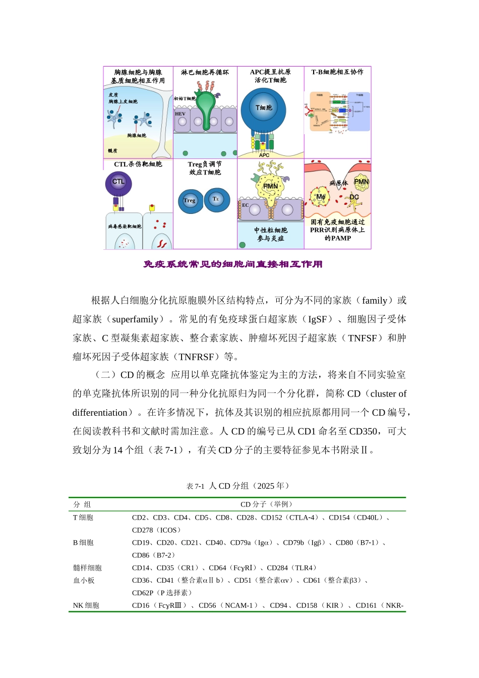 第7章白细胞分化抗原和黏附分子_第2页