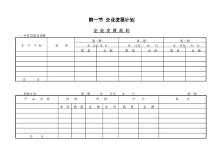 第一节-企业发展计划