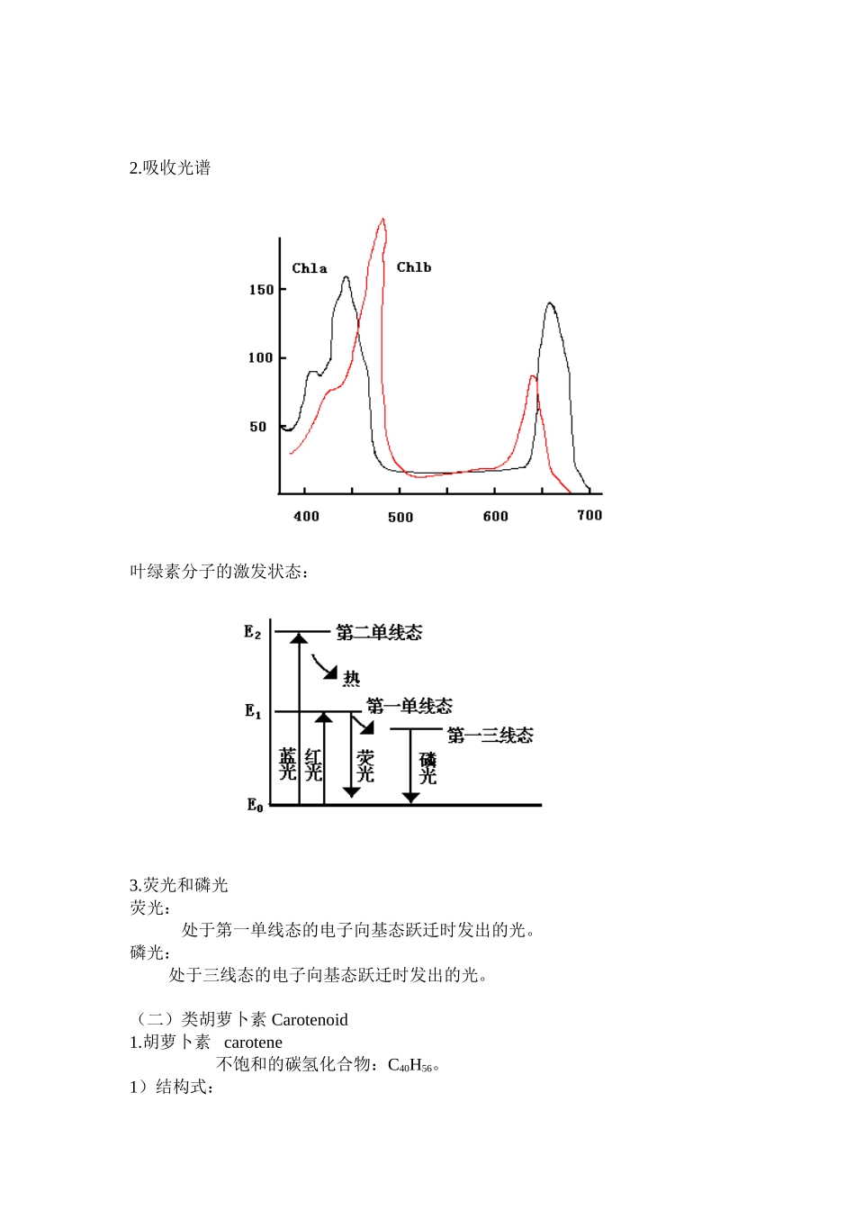第三章植物的光合作用_第3页