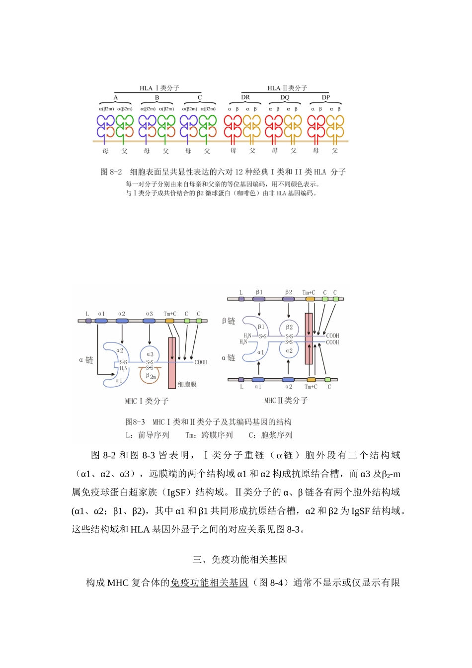 第八章主要组织相容性复合体及其编码分子_第3页