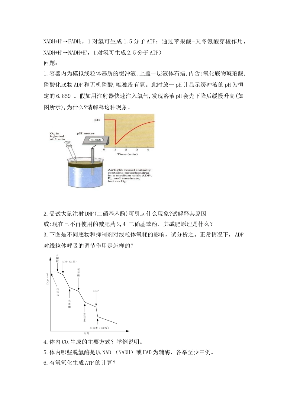 第六章生物氧化的学习指引_第3页