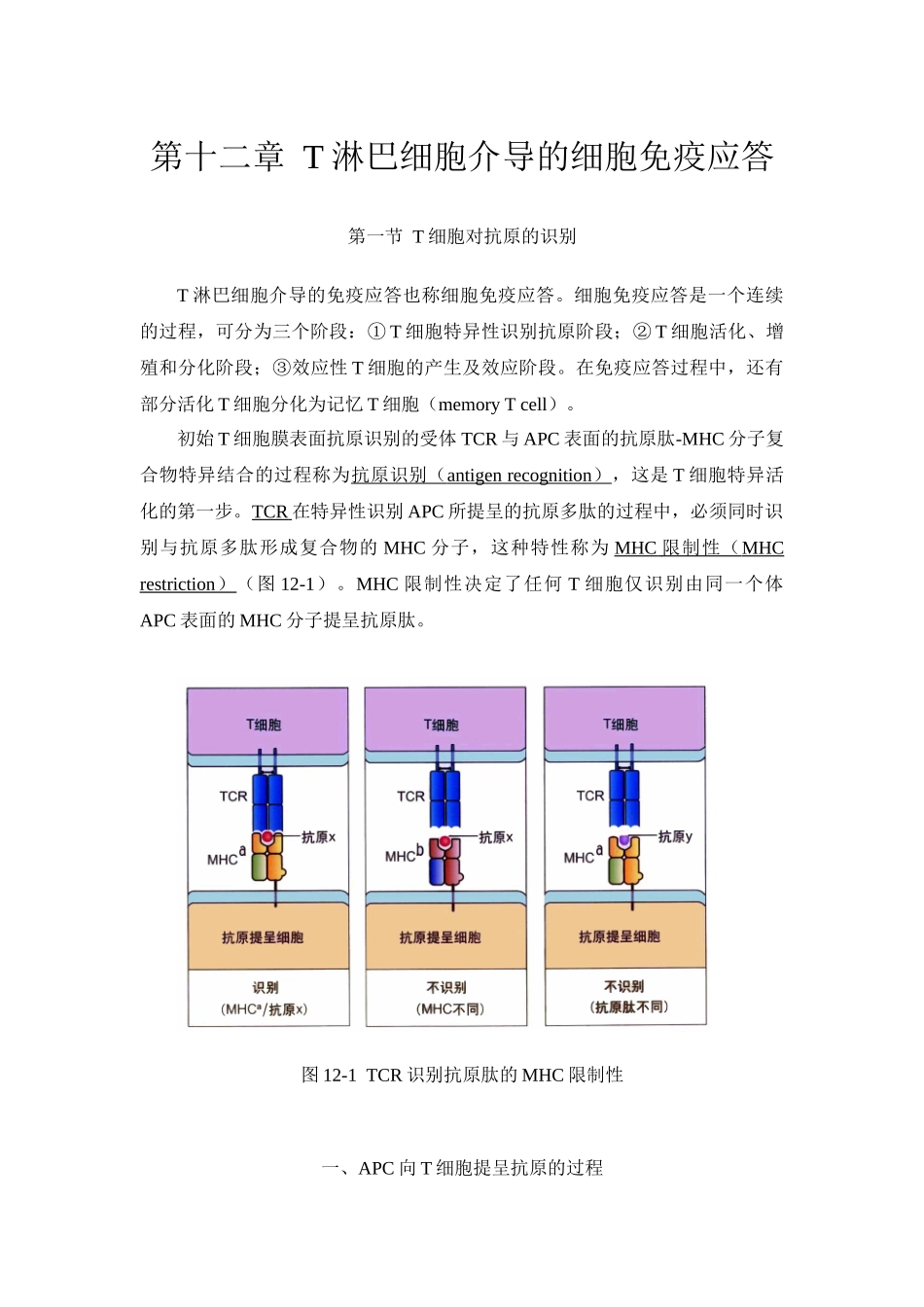 第十二章T淋巴细胞介导的细胞免疫应答_第1页