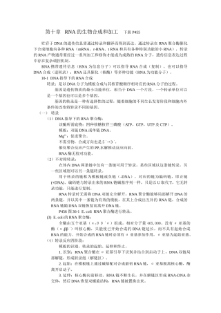 第十章-RNA的生物合成和加工