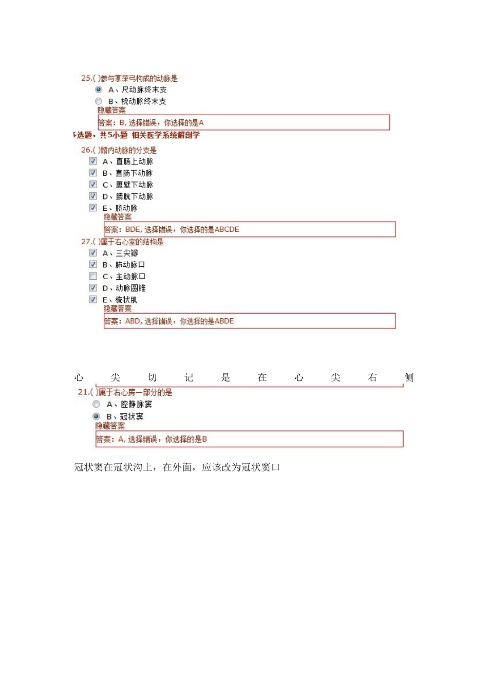 第四章-脉管系统_第2页