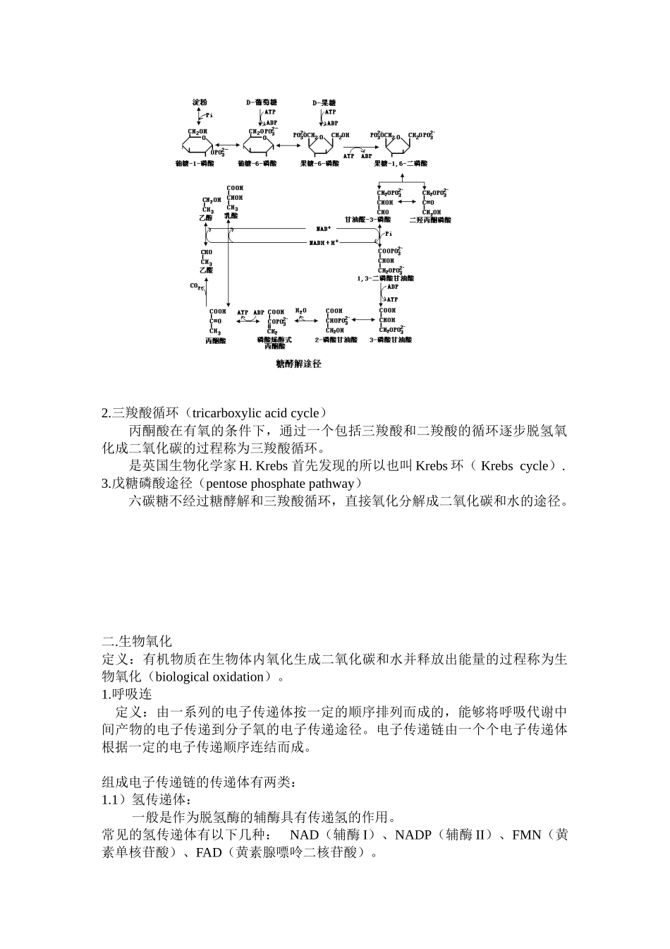 第四章植物的呼吸作用_第2页