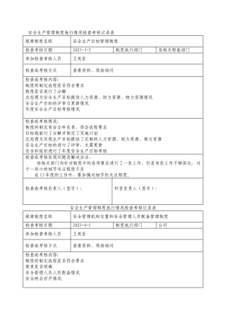 管理制度执行检查记录表(参考)