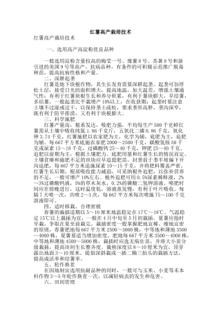 红薯高产栽培技术