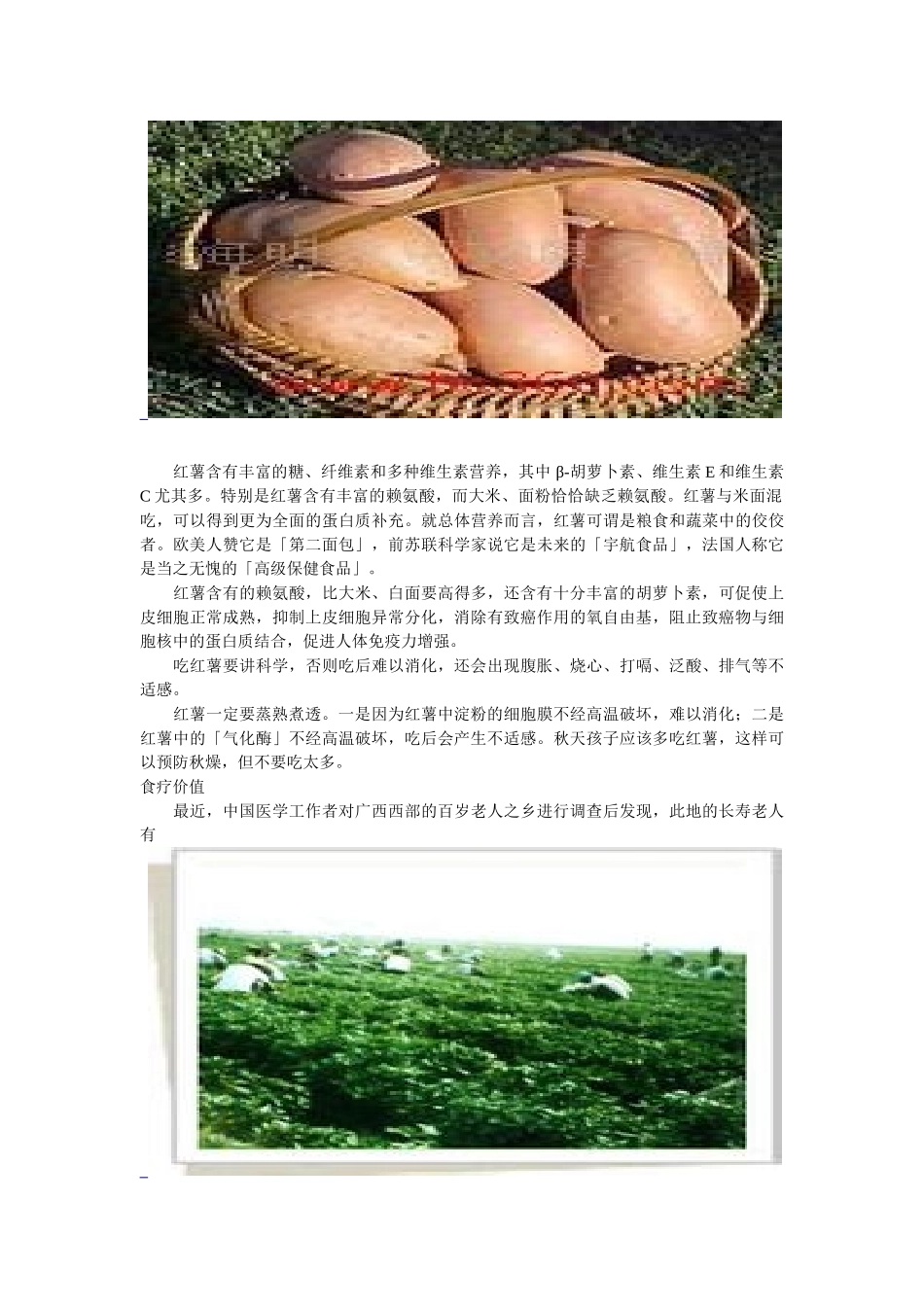 红薯的营养价值_第2页