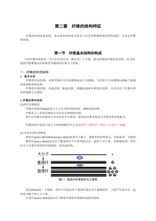 纤维的结构特征