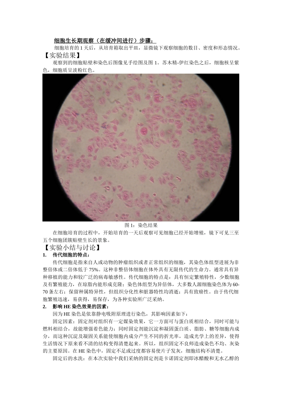 细胞传代和H·E染色卢文_第2页