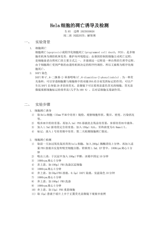 细胞凋亡诱导及检测边晔