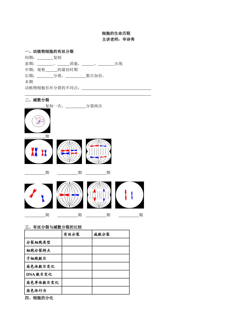 细胞的生命历程_第1页