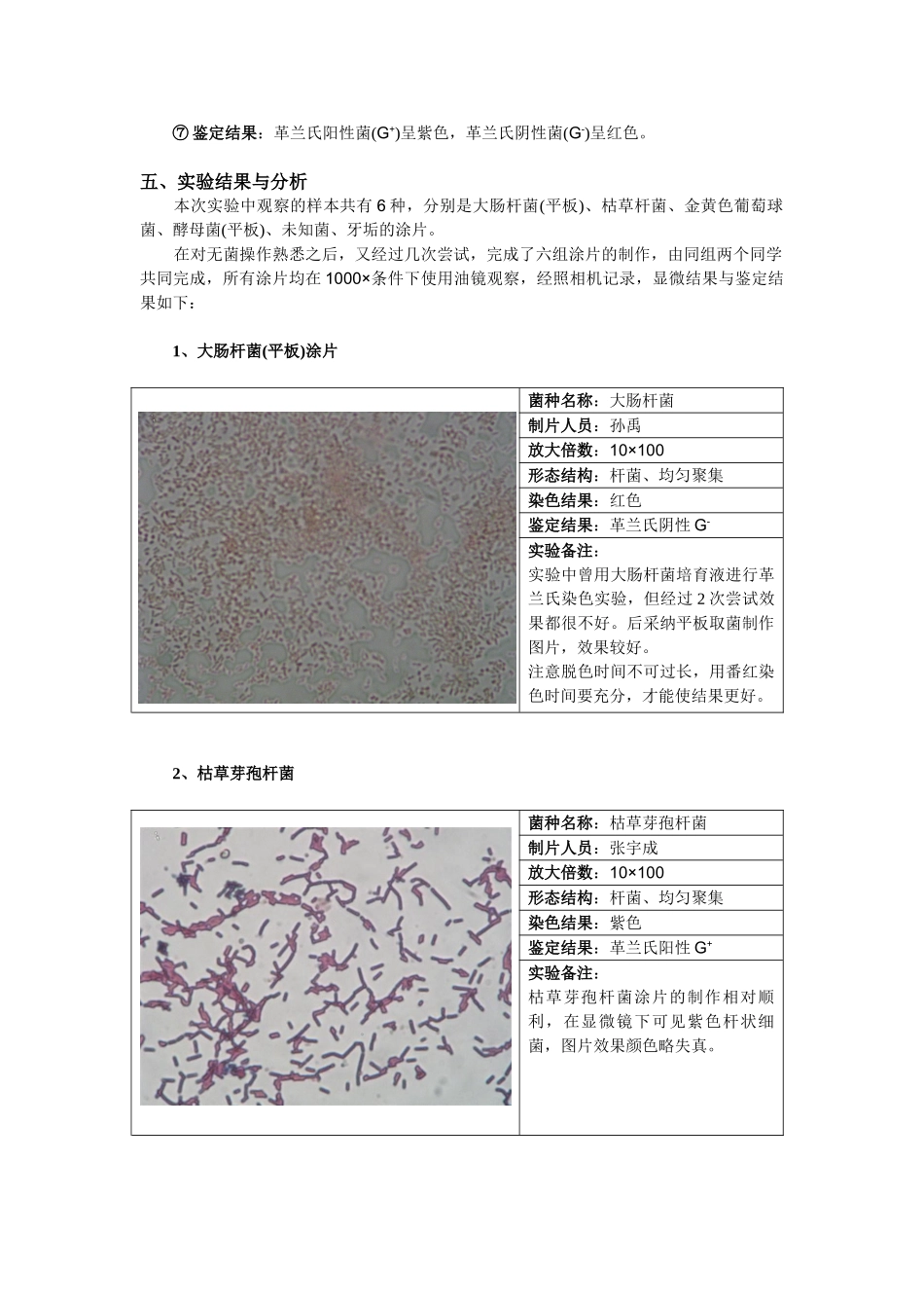 细菌普通染色和革兰氏染色_第3页