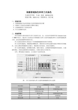 细菌普通染色和革兰氏染色