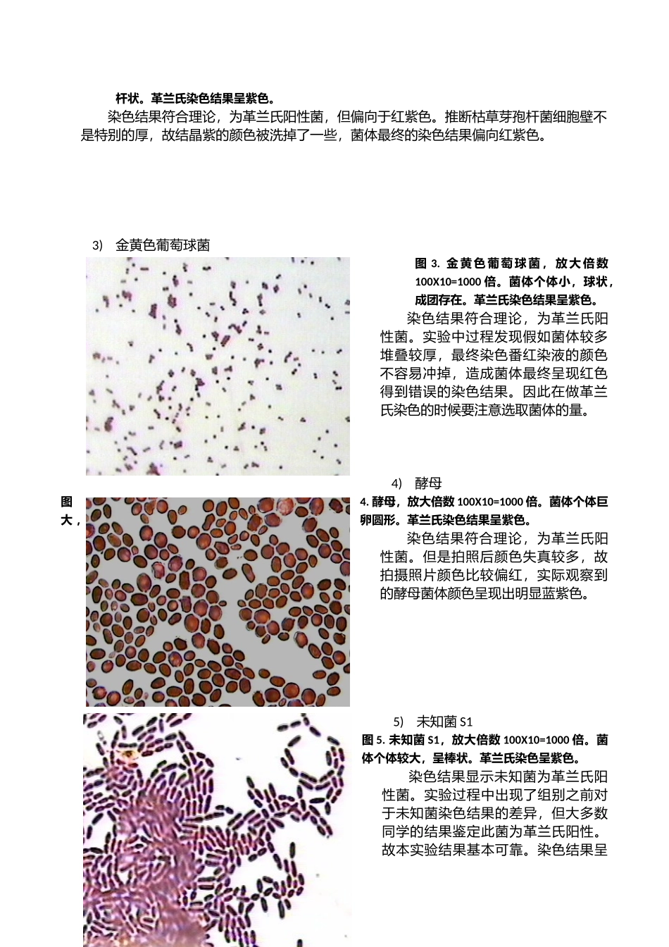 细菌的简单染色和革兰染色_第3页