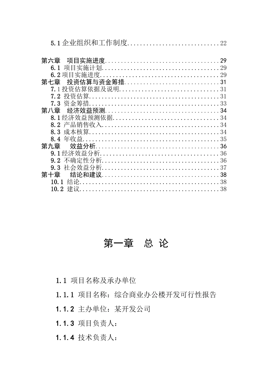 综合商业办公楼可行性研究报告_第2页