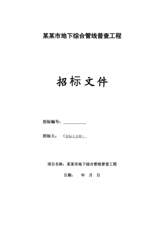 综合管网普查工程招标文件