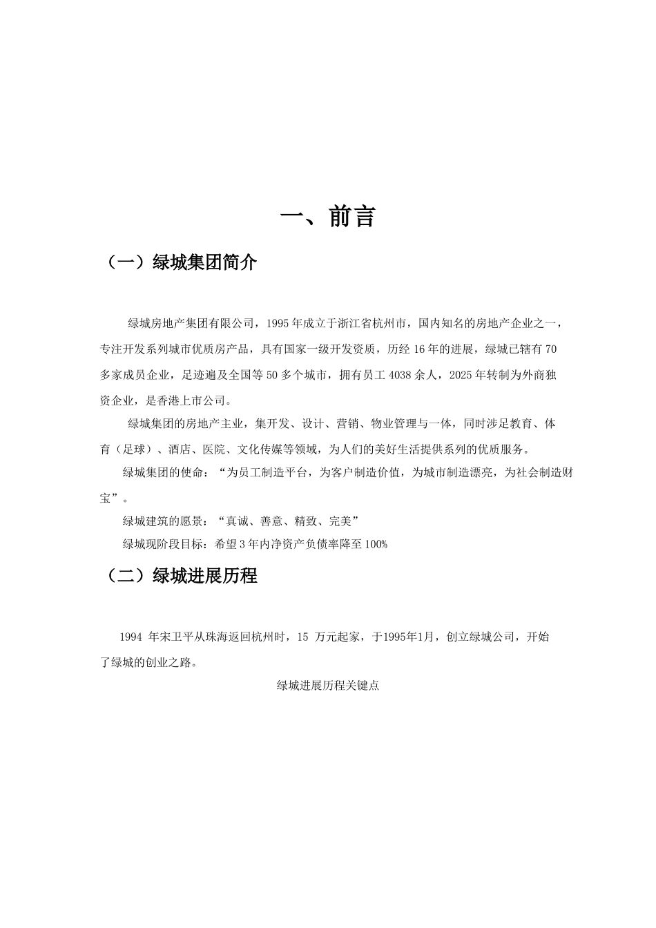绿城中国财务报表分析_第3页