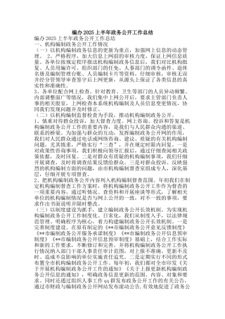 编办2025上半年政务公开工作总结-精品范文资料