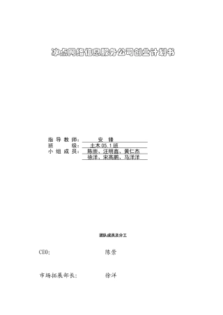 网络信息服务公司创业计划书