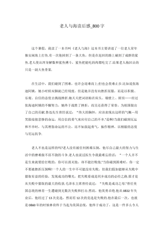 老人与海读后感-800字