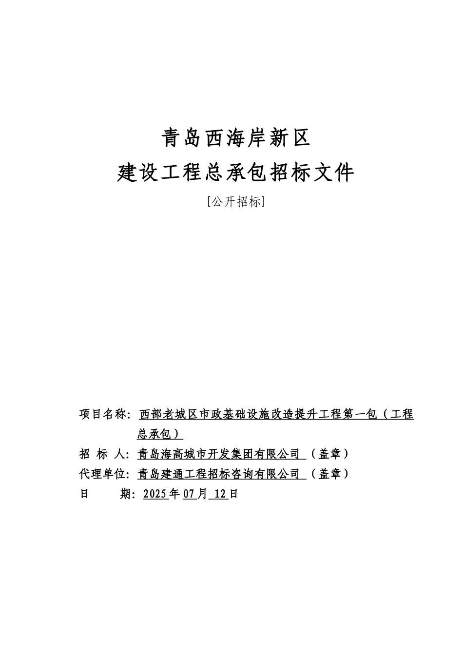 老城区市政基础设施改造提升工程招标文件_第1页