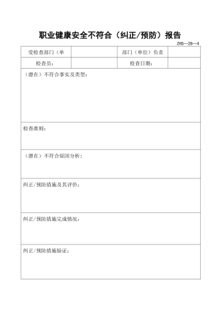 职业健康安全不符合报告