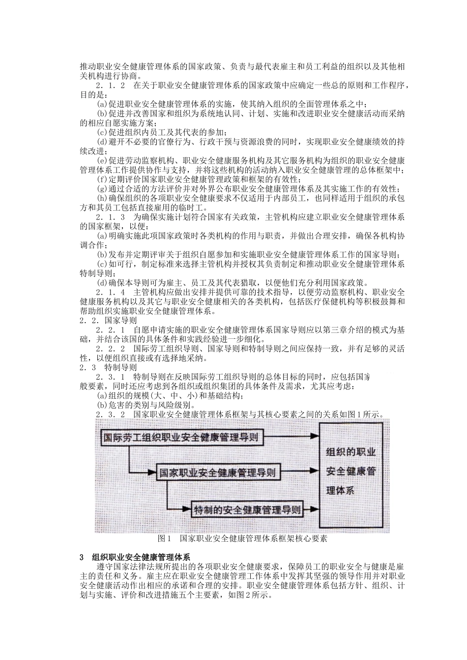 职业安全健康管理体系导则_第2页
