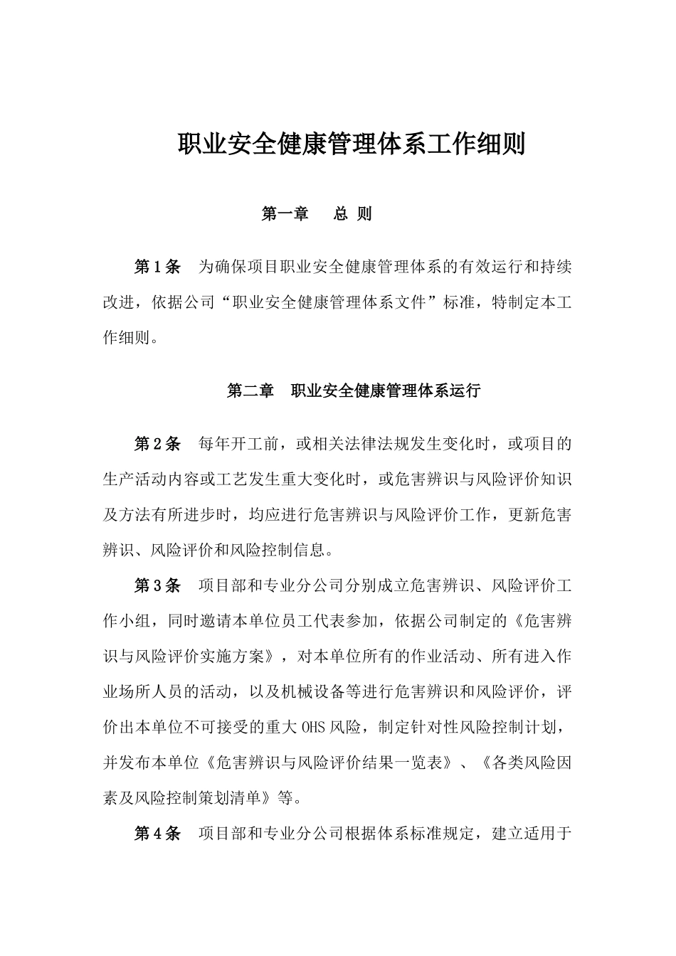 职业安全健康管理体系运行细则_第1页