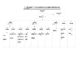 职业安康环境管理体系组织机构