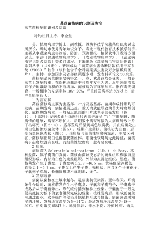 莴苣菌核病的识别及防治