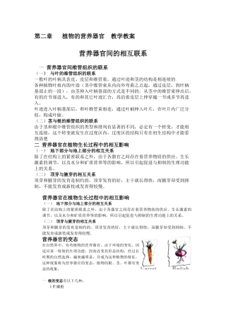 营养器官间的相互联系