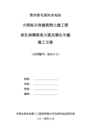 表孔闸墩联系大梁及墩头施工方案