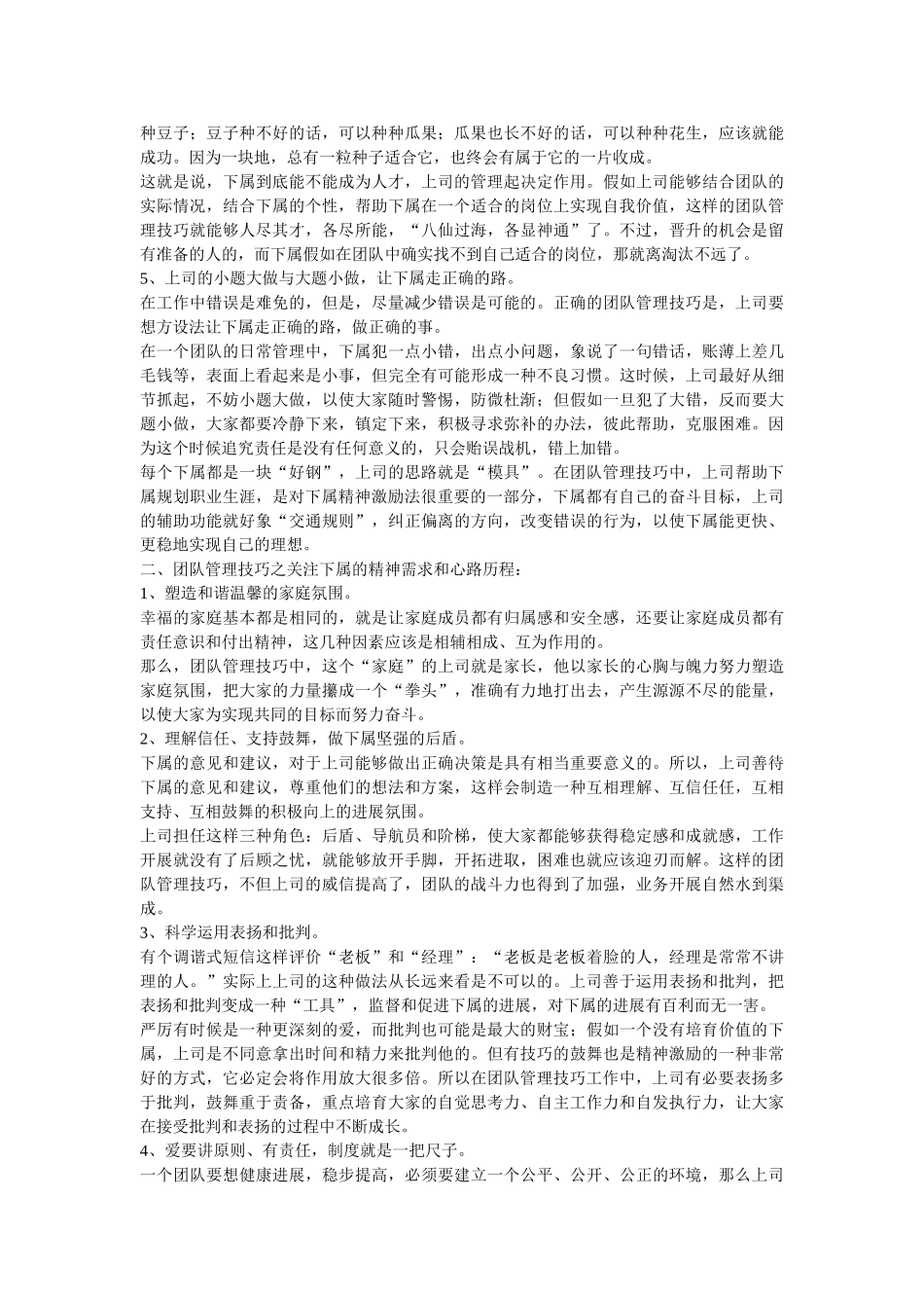 谈团队管理技巧_第2页