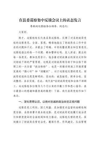 在县委巡察集中反馈会议上的表态发言