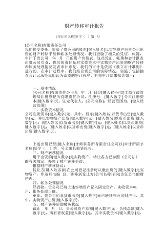 财产转移审计报告